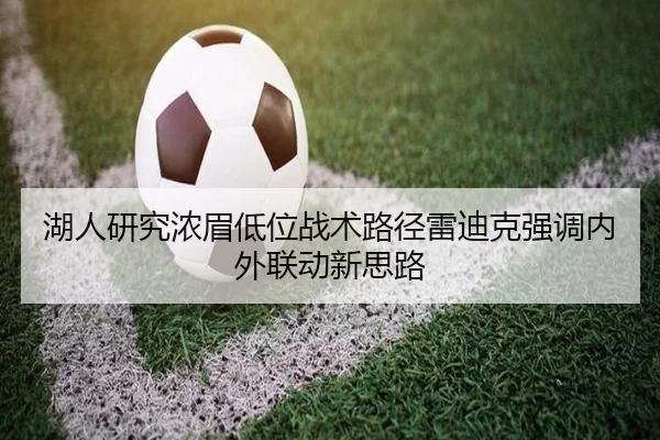 湖人研究浓眉低位战术路径雷迪克强调内外联动新思路